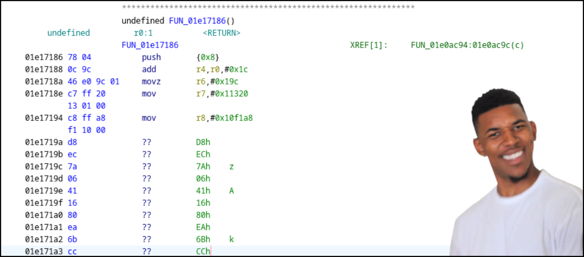 Ghidra disassembly listing showing unknown
            instructions.